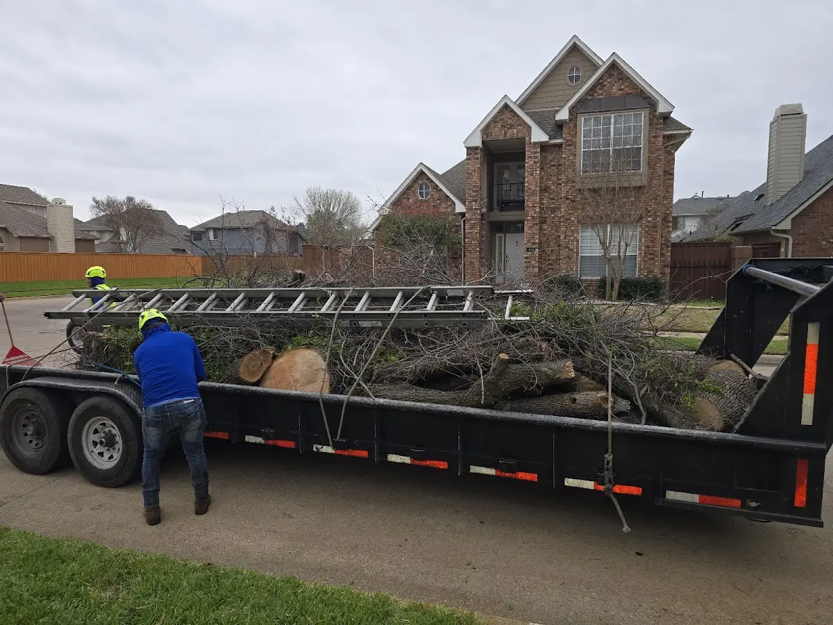 Expert Tree Fertilization with proper safety equipment in Boonville